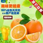 脐橙  水果主图