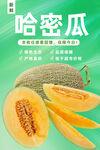 哈密瓜