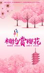 樱花节