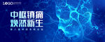 KV 脑神经
