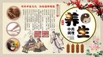 养生文化背景墙