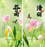 清明谷雨系列节气