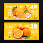 丑柑