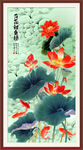 荷花鲤鱼图