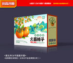 柿子包装 柿饼礼盒