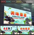 桑葚