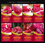 火龙果