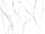 新款 新传白色石纹 TiF合层