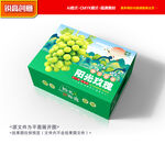 葡萄包装 阳光玫瑰礼盒