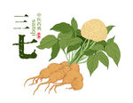 三七