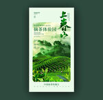春茶