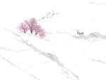 爵士白
