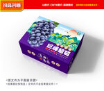 葡萄包装 巨峰礼盒