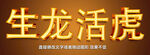 不锈钢铜字金银字金属字效果 