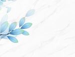 爵士白花卉