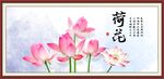 国画荷花