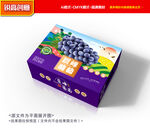 葡萄包装 巨峰礼盒