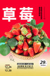 草莓
