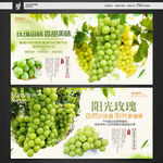 阳光玫瑰