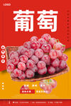 葡萄