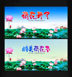 荷花