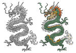 龙