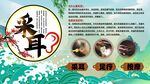 采耳背景墙