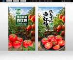 番茄