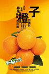 橙子