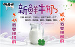 新鲜牛奶