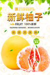 柚子