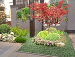 庭院绿化改造设计效果图