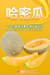 哈密瓜
