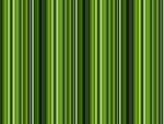 绿色线条墙纸