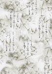竹子