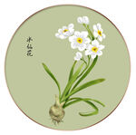 水仙