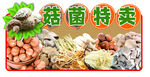 菌菇特卖