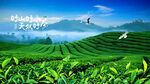 茶园