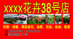 花卉