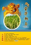 水稻海报