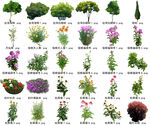 高清树木花卉绿植免抠贴图素材 