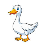 矢量卡通动物家禽白色鸭子