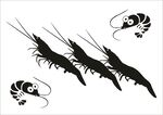 shrimp 虾