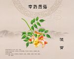 凌霄