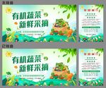 有机蔬菜 新鲜采摘