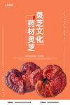 灵芝