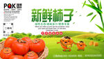 柿子海报 水果广告