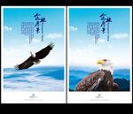 鹰击长空
