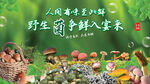 野生菌宣传广告