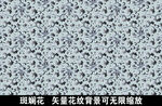 斑斓花 